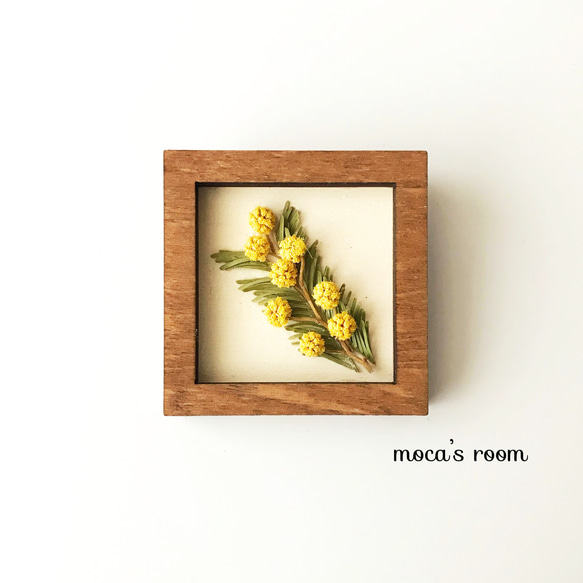 植物標本のブローチ 《mimosa》 ウォルナットフレーム 1枚目の画像