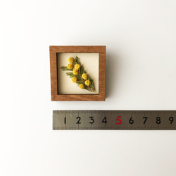 植物標本のブローチ 《mimosa》 ウォルナットフレーム 3枚目の画像