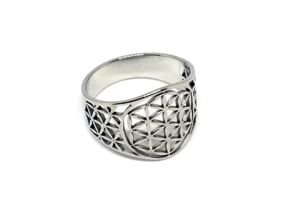 l*s様 遺品整理品 豪華大量 アクセサリー ・ネックレス・リング・指輪 24点 l*s様 遺品整理品 豪華大量 アクセサリー ・ネックレス・リング