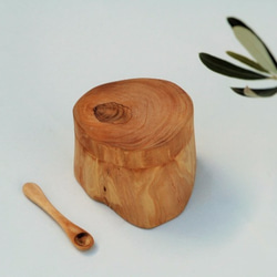 薬味入れ　olive type.D　木製品 1枚目の画像