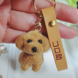 羊毛フェルトオーダーわんちゃんネーム入りキーホルダー★ハンドメイド★あみぐるみ愛犬雑貨愛犬ちゃんお作りします 1枚目の画像