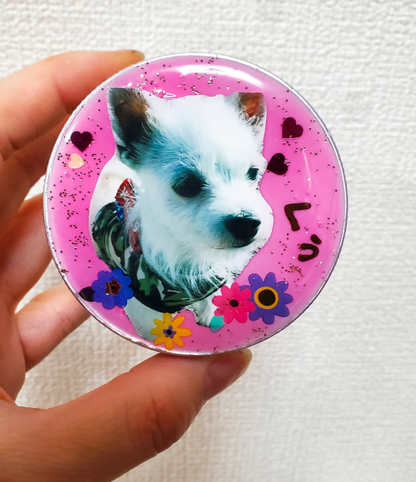 オーダーおやつケース（大）.お好きな犬、猫ちゃんで作ります❗レジン、デコハンドメイド.プレゼント犬誕生日.メモリアル 8枚目の画像