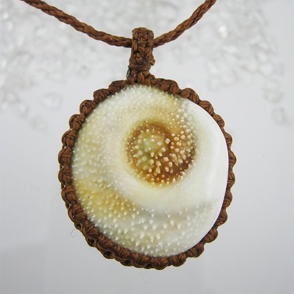 イルカのいる海 Shell12 貝のジュエリー【送料含】　マクラメ　ペンダント　渦　螺旋
