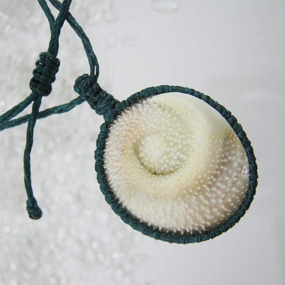 イルカのいる海 Shell13 貝のジュエリー【送料含】　マクラメ　ペンダント　渦　螺旋