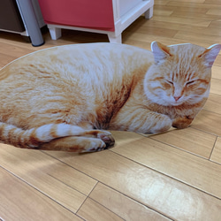 ほっとくつろぐ猫を展示して癒しの空間作りをお手伝いするパネル 3枚目の画像