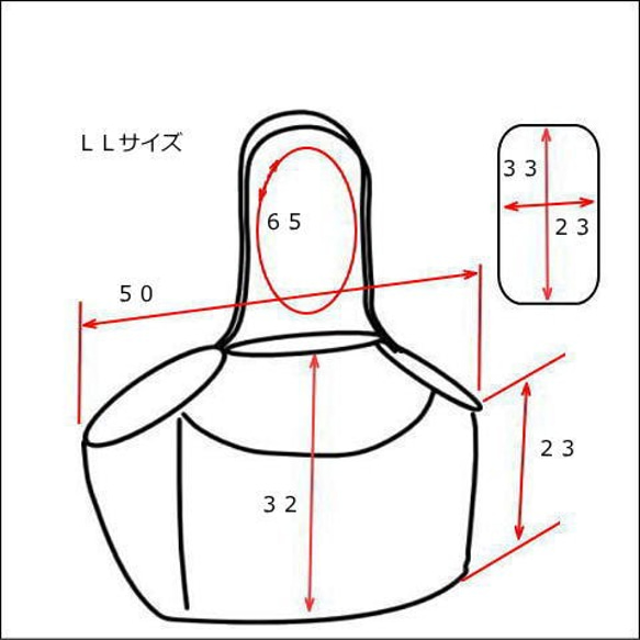  第2張的照片