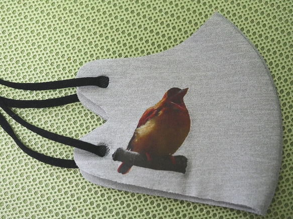 野鳥ファッションマスクその６（アカショウビン） 人気・おすすめ｜使いやすい・旅行におすすめ 品質保証 全国発送 在庫限り