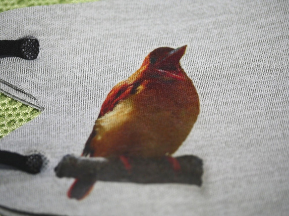 野鳥ファッションマスクその６（アカショウビン） 人気・おすすめ｜使いやすい・旅行におすすめ 品質保証 全国発送 在庫限り