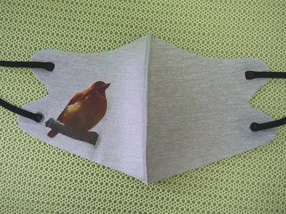 野鳥ファッションマスクその６（アカショウビン） 人気・おすすめ｜使いやすい・旅行におすすめ 品質保証 全国発送 在庫限り