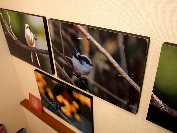 A３サイズの野鳥写真パネルその１ 4枚目の画像