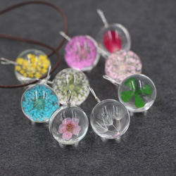 日本ドライフラワーネックレス桜の時のxのx水仙の結婚式小さな宝石は、花を乾燥させた「の宝石」 2枚目の画像