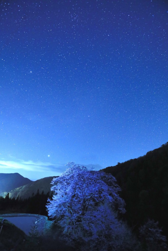 A4 写真　プリント　星 1枚目の画像