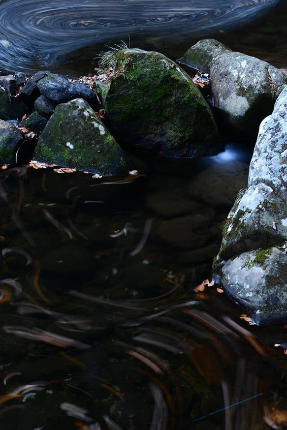 紅葉晩秋　Ａ4　写真　プリント 1枚目の画像