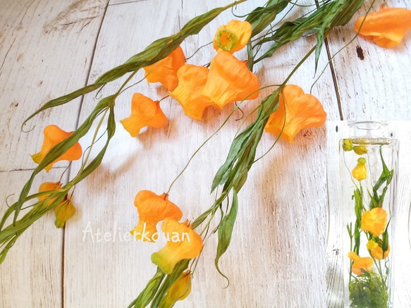 サンダーソニアのドライフラワー！Atelier kouan ドライフラワー kouan  