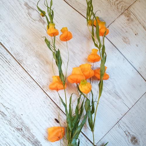 サンダーソニアのドライフラワー！Atelier kouan ドライフラワー kouan  