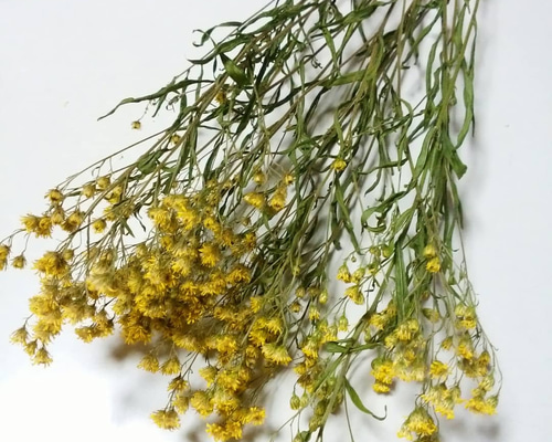 1_0cbd1b46399a7987193d05a92c2c