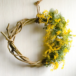 野あざみのナチュラルドライフラワーリース！AtelierKouan リース