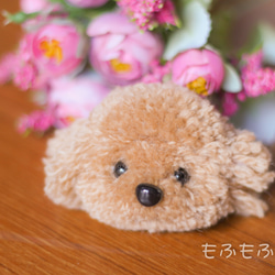 プードルさん＊ぽんぽん＊ブローチ 2枚目の画像