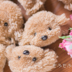 プードルさん＊ぽんぽん＊ブローチ 3枚目の画像