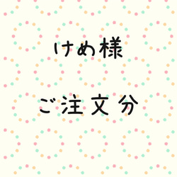 けめ様  ご注文分 1枚目の画像