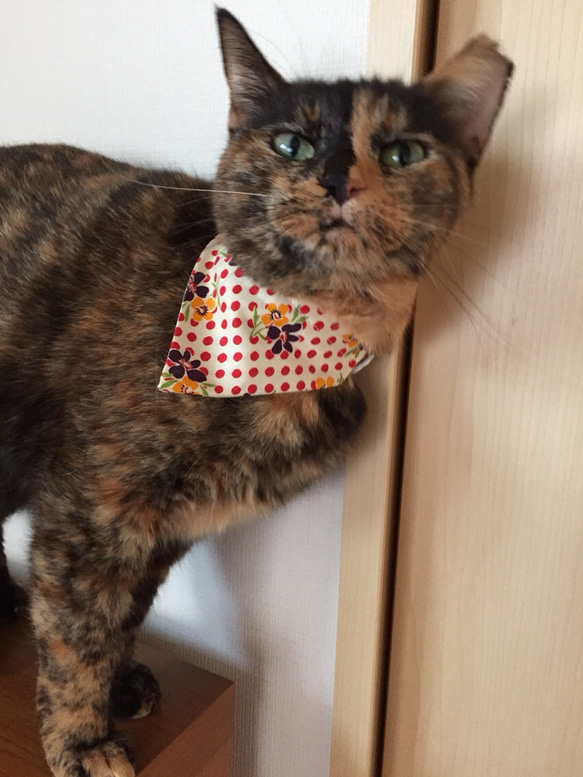 《猫用》 バンダニャ首輪 バンダナ スカーフ 猫首輪 安全バックル使用 4枚目の画像