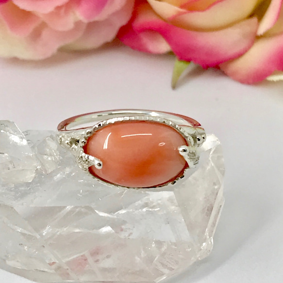 ピンク珊瑚 高知県産 2つ 高知県産 珊瑚 2つ 189g 楽天市場】