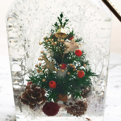 【Christmas】冬の新作 クリスマスツリーハーバリウム 2枚目の画像