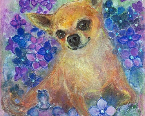 スムースコートチワワと紫陽花のイラスト(F0サイズ) イラスト