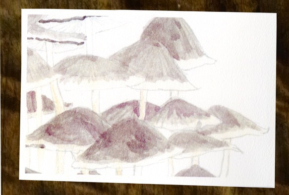 紫蘑菇明信片016 第1張的照片