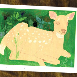 森の中　鹿　　ポストカード　017 1枚目の画像