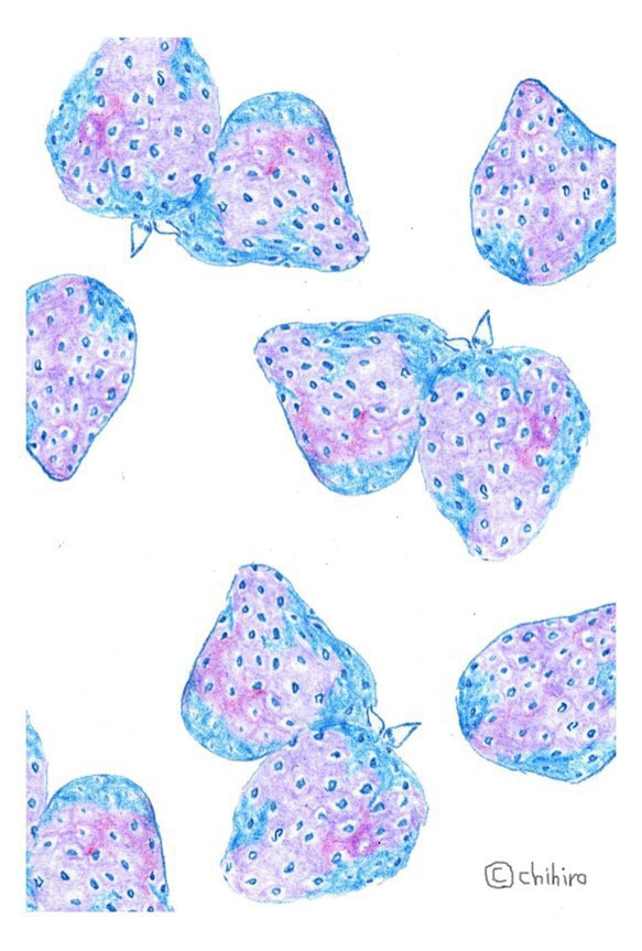 草莓明信片022 第1張的照片