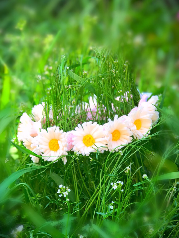 送料無料マーガレットFlower Baby Headband(赤ちゃん用ヘアバンド)/フェルト 1枚目の画像