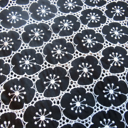 総レース　お花刺繍　半袖ワンピース　白×黒 4枚目の画像