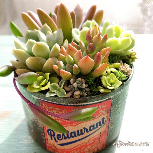 リメ缶　リメイク缶　☘️3個セット　革タグ付き　多肉植物 リメイク缶 スペシャルセット リメ缶 リメイク缶 ☘️3個セット 革タグ