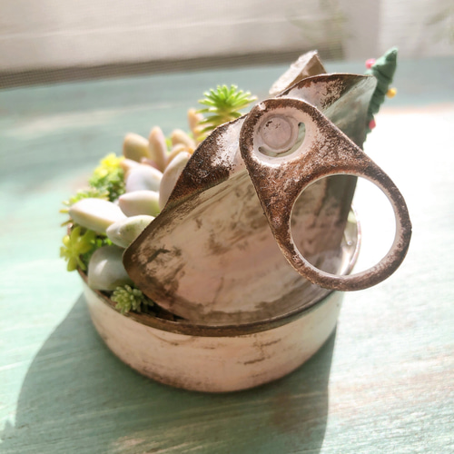 多肉植物＊そのまま飾れる 寄せ植え＊ winter バージョン その他