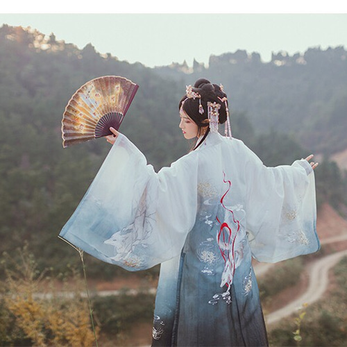 漢服 九尾の孤 大袖衫 ガウン コート 初心 通販 6347857｜Creema(クリーマ)