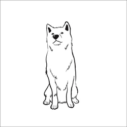 秋田犬  Tシャツ 3枚目の画像