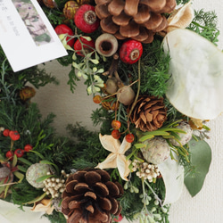 《値下げ‼️》クリスマスリース20センチ 針葉樹と実ものナチュラルリース 画像5～8枚目12/1撮影 3枚目の画像