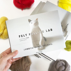 【毛氈作品集】FELT FULLING LAB 第1張的照片