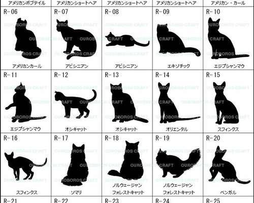 0_dd7562ee3dfb4f07ec236fa22963