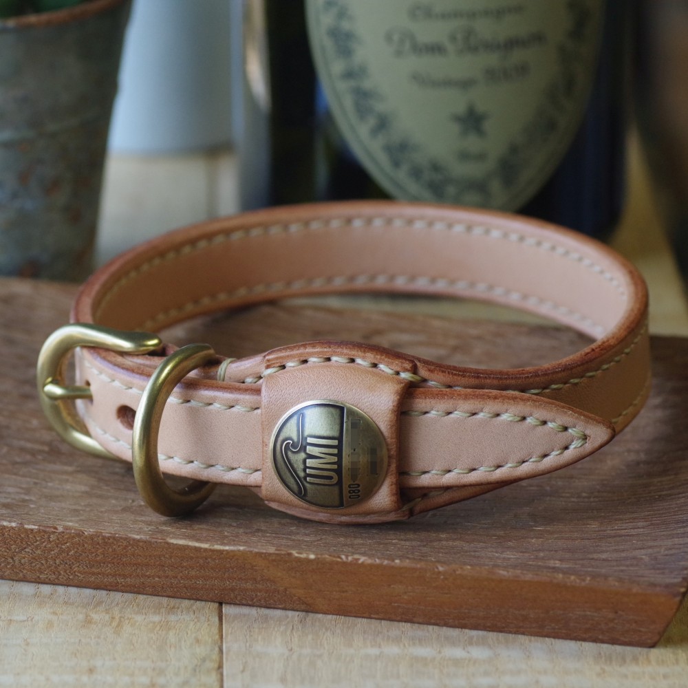 ウロボロスの首輪（Mサイズ）・迷子札が取付可能な革の首輪