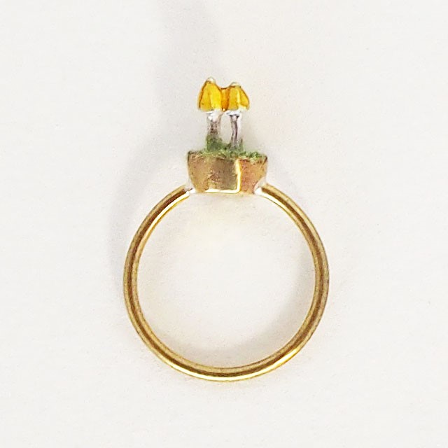 BONSAI MUSHROOM キイボカサタケ リング4号
