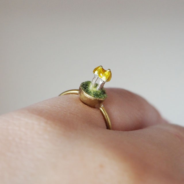 BONSAI MUSHROOM キイボカサタケ リング4号