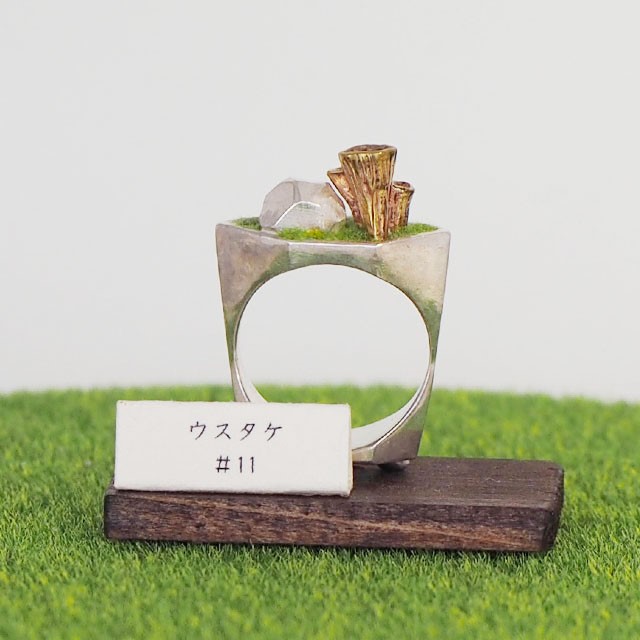 BONSAI MUSHROOM ウスタケ リング（鉢）11号