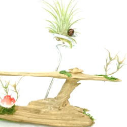 自然な形の流木を生かしエアプランツの飾り台です。 2枚目の画像