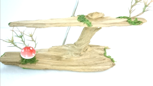 自然な形の流木を生かしエアプランツの飾り台です。 7枚目の画像