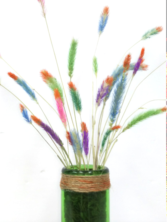 ふゎっとした猫じゃらし草にかわいく色を付けてオブジェを作りました(#^.^#)かわいいですよ。(*≧∀≦*) 2枚目の画像