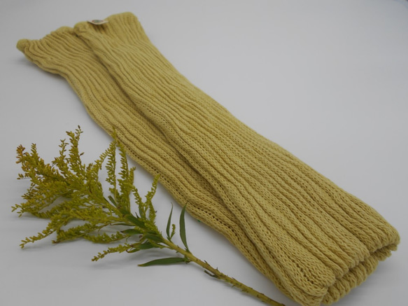 黃花全月染植物色腿暖棉和絲綢 第4張的照片