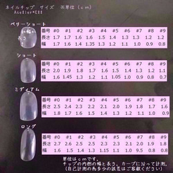 和-07　ネイルチップ 2枚目の画像