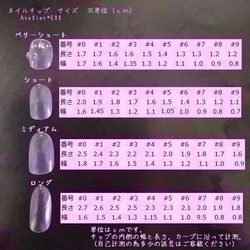 №205　ネイルチップ 4枚目の画像